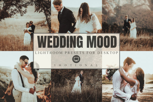 Download 8 Wedding Mood Lightroom Presets - Wedding Collection